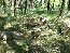P1000443