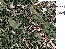 WelzowSatteliteMap
